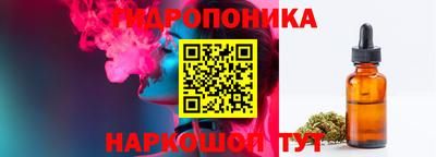 сатива Ачхой-Мартан