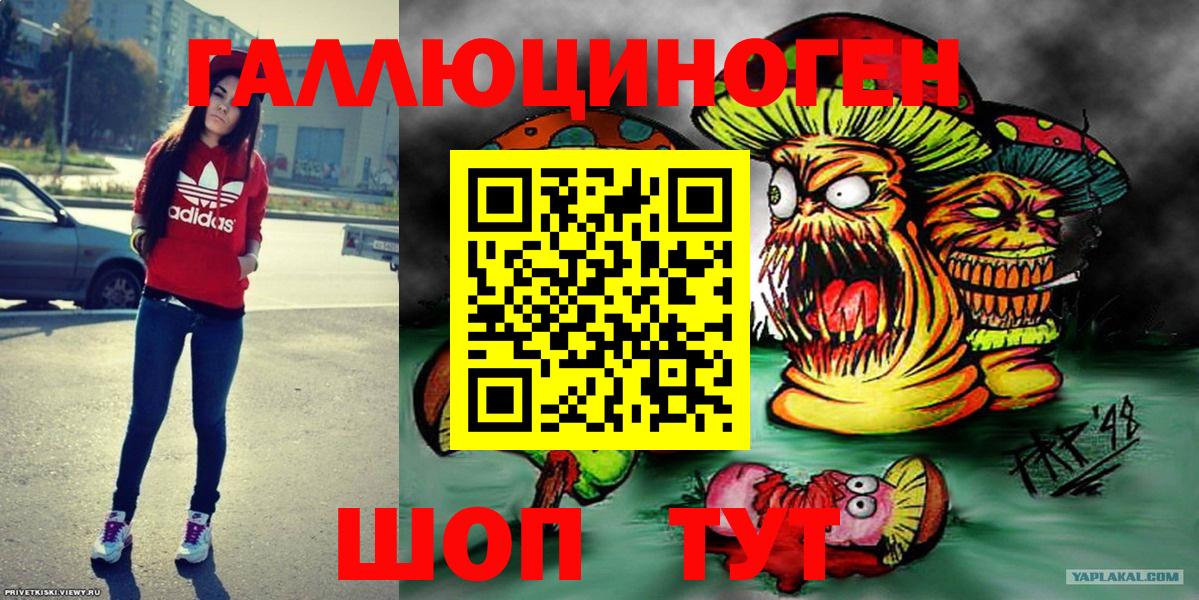 Галлюциногенные грибы MAGIC MUSHROOMS  Вход с VPN  купить наркотики сайты  Дербент  Галлюциногенные грибы Magic Shrooms 